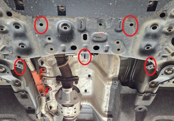 Protector del catalizador/cat lock Hyundai Santa Fe