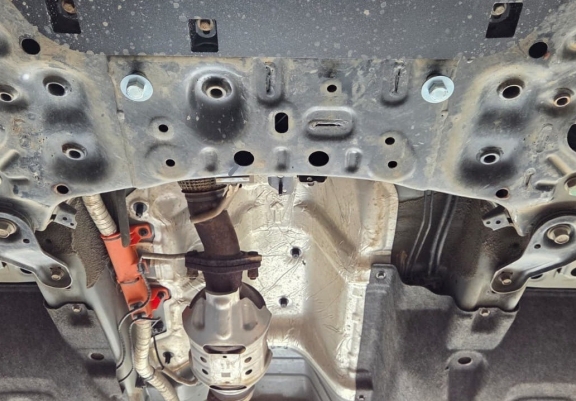 Protector del catalizador/cat lock Hyundai Santa Fe